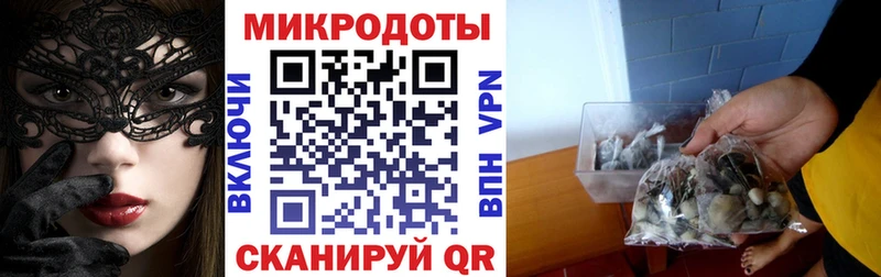 как найти закладки  Козельск  Галлюциногенные грибы Psilocybe 